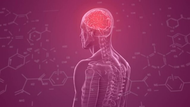 Animation of chemical formulas over human model with brain on purple background