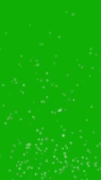 Rising bubbles vertical motion graphics with green screen background