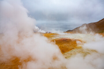 Picturesque landscape with green nature in Iceland during summer. Image with a very quiet and...