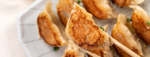 Pan-fried gyoza dumpling jiaozi in a plate with soy sauce on white table background.