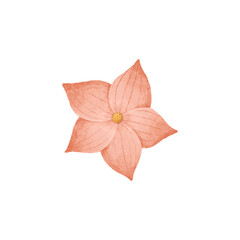 cute cartoon flower, botanical hand painted illustration. Print and design
