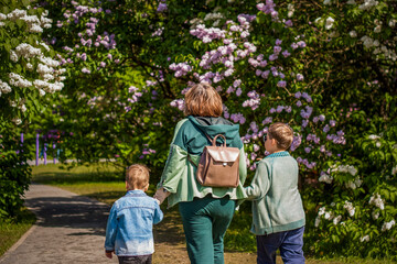 A walk of a young grandmother with her grandchildren along an alley with lilac bushes.  Interactions. Selective focus.