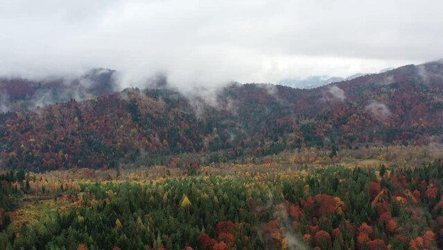 Vivid autumn landscape among mountains and woods
