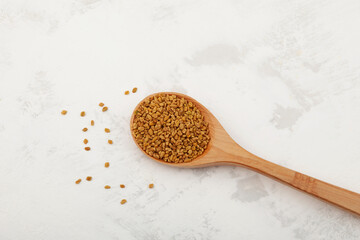 Fenugreek Seeds spilled out of wooden spoon on textured grey background. Shambhala or helba seeds is traditional Indian seasoning and ingredient Ayurvedic food