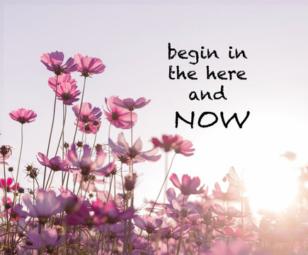 Inspirational quote on flower background
