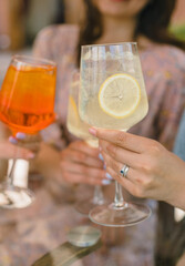 A group of friends cheers their drinks together. Glasses of alcoholic summer cocktails.