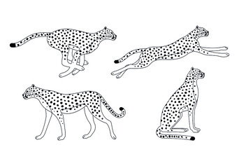 Vector set of outline cheetah isolated on white background
