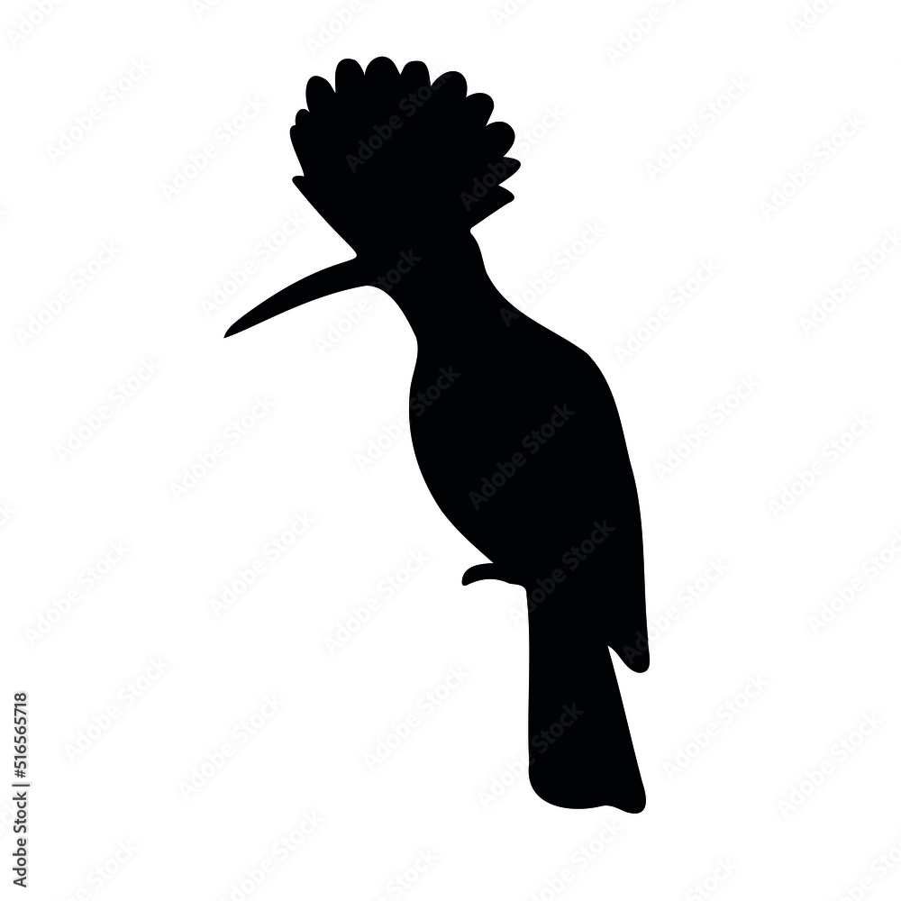 Poster Vector hand drawn hoopoe bird silhouette isolated on white background