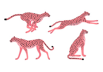 Vector set of pink flat hand drawn cheetah isolated on white background
