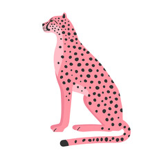 Vector hand drawn flat pink sitting cheetah isolated on white background © Sweta