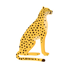 Vector hand drawn flat sitting cheetah isolated on white background