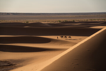 Naklejka na ściany i meble Sunrise at Erg Chegaga Desert in Morocco, Africa. 
