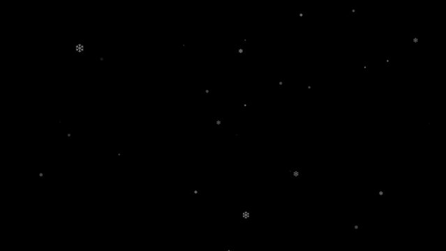 Particle Snow Falling Down in Black Background