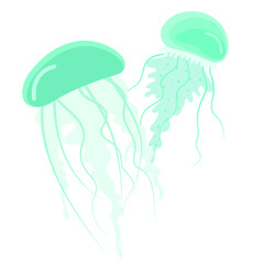 vector illustration of couple stylized jellyfish