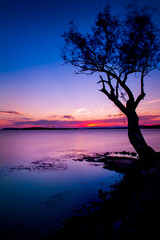 Portrait (vertical) photo at sunset near a lake purple and blue colors with tree silhouette good for phone wallpaper shot in Golyazi Bursa Turkey