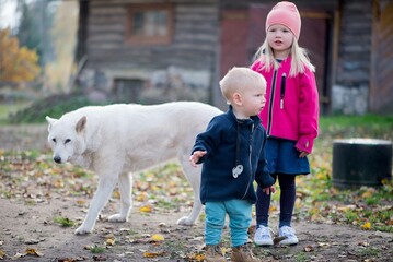 Fototapeta premium Dwoje małych dzieci - chłopiec i dziewczynka z dużym białym psem stoją na podwórku farmy
