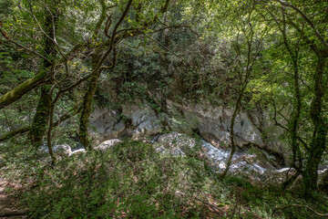 On Menalon Trail  in Lousios Gorge from Prodromos Monastery to New Philosophohos Monastery, Dimitsana, Arcadia, Peloponnese, Greece   