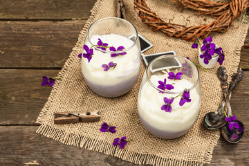 Vegan panna cotta dessert with fresh violet flower. Striped very peri color food, rustic style