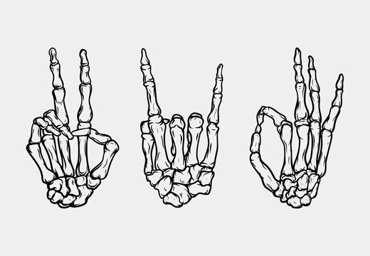 Hand bone set vector illustration detailed and easy to edit