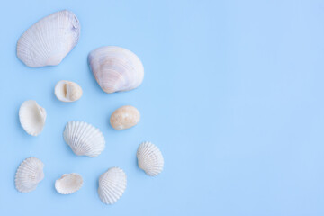 Variety of seashells on blue background,Collection of seashells,Top view
