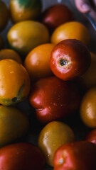 Fresh vegetables.  Yellow tomatoes and red tomatoes. Fresh vegetables on table. Market vegetable, garden.Diet concept. Healthy organic vegetarian food.