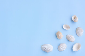Variety of seashells on blue background,Collection of seashells,Top view