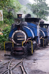 DARJEELING, INDIAN -June 22, The toy train of Darjeeling Himalayan Railway runs on the track in Darjeeling, India. Darjeeling Himalayan railway is a UNESCO world heritage site. - obrazy, fototapety, plakaty