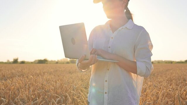 Farmer woman works in wheat field with laptop notebook in her hands at sunset. Agronomist with computer in field, checking the harvest, golden wheat, eco agriculture, agribusiness. Slow motion