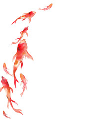 Watercolor frame with koi fish