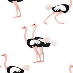 Ostrich on a white background. Seamless vector pattern.