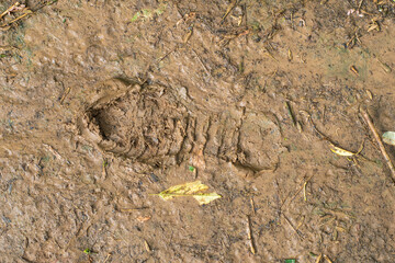 Close-up of wet clay soil with puddles after rain. Shoe print on wet ground.