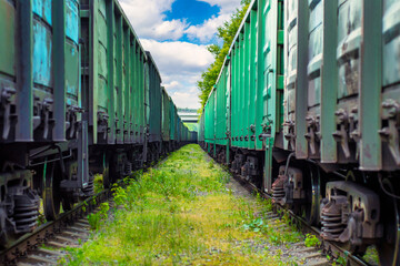Obraz premium Corridor between two freight trains. Old railway cars.