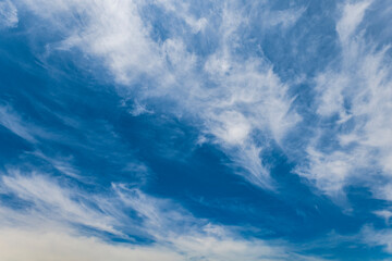 Obraz premium 空