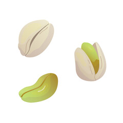 Vector pistachio icon. Pistachio nuts in the shell. Watercolor imitation.