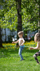 Fototapeta premium summer in the garden