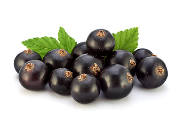 Black currant on white