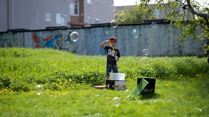 summer in the garden