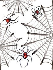 Flat lay pattern banner of black horror spiders of different sizes directed in different directions on white backdrop with copy space. Halloween decoration spooky background concept for holidays.