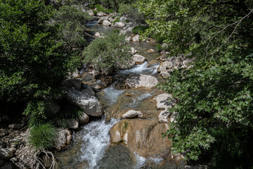 On Menalon Trail in Lousios Gorge from New Philosophos Monastery to Dimisana village, Arcadia, Pelponnese, Greece.