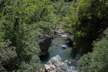 On Manalon Trail in Lousios Gorge from New Philosophos Monastery to Dimisana village, Arcadia, Pelponnese, Greece.