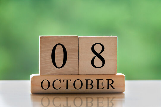 Picture of October 8