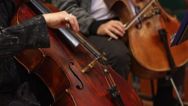 Orchestral playing philharmonic music by double bass, art concept