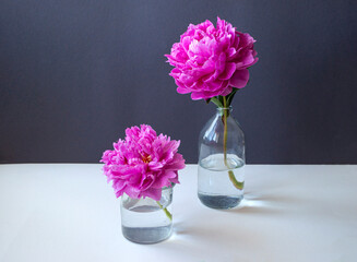 Composition of beautiful pink peonies in transparant glass bottles on a white table background.