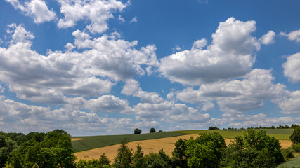 Luftbildaufnahme einer grünen Landschaft mit bewölktem Himmel