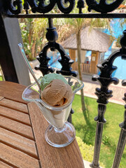 Fresh and delicious ice cream in summer time