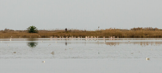 Delta del Ebro