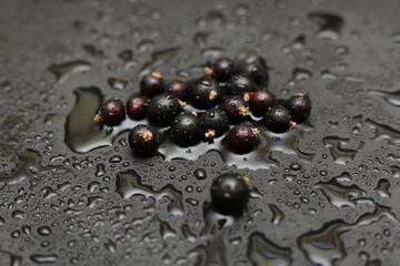 water drops on black background