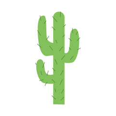 Vector flat illustration of green cactus plant on isolated background