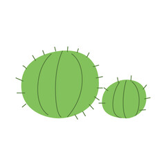 Vector flat illustration of green cactus plant on isolated background