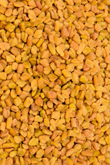 Fenugreen seed full background